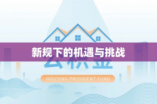 宁明新规下的机遇与挑战