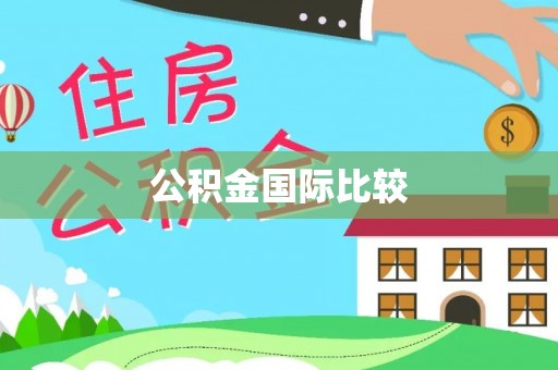 宁明公积金国际比较