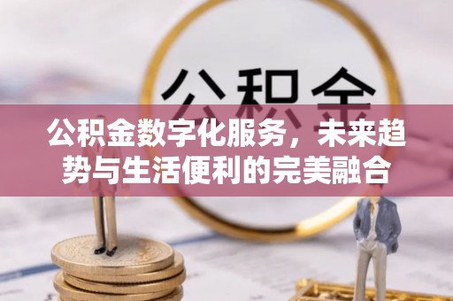 宁明公积金数字化服务，未来趋势与生活便利的完美融合