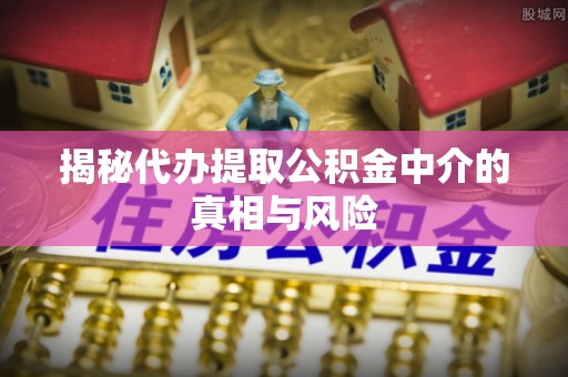 宁明揭秘代办提取公积金中介的真相与风险