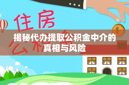 宁明揭秘代办提取公积金中介的真相与风险