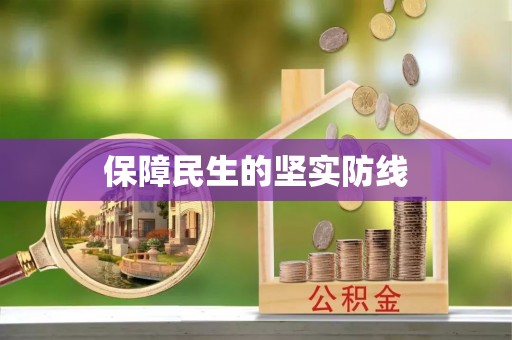 宁明保障民生的坚实防线