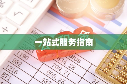 宁明一站式服务指南