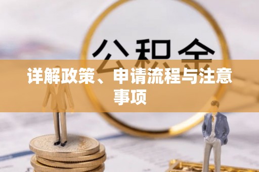 宁明详解政策、申请流程与注意事项